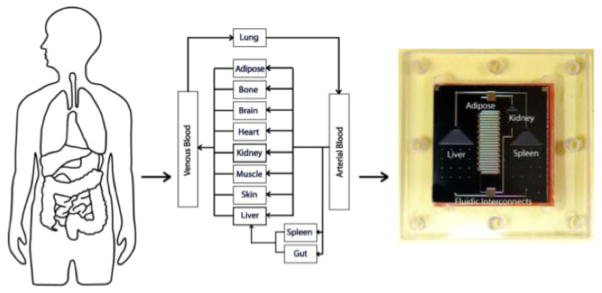 Fig. 4