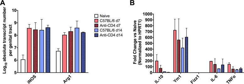 FIG 6