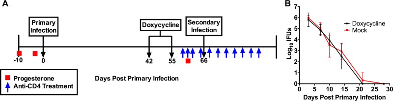 FIG 2