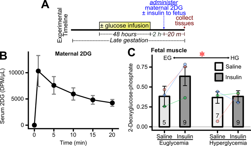 Figure 2: