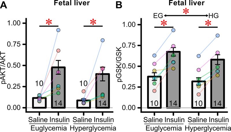 Figure 5: