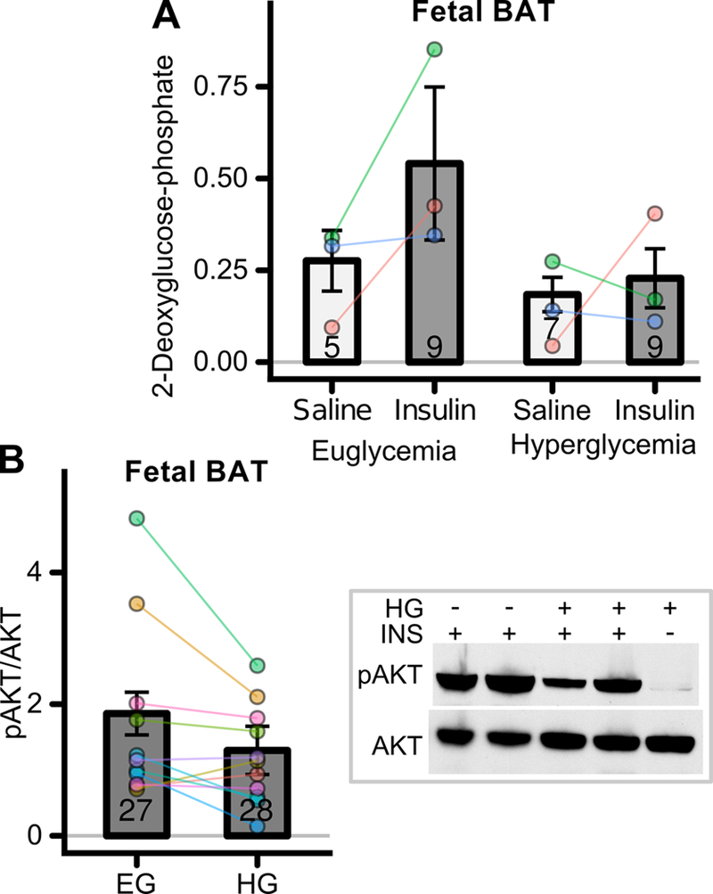 Figure 4: