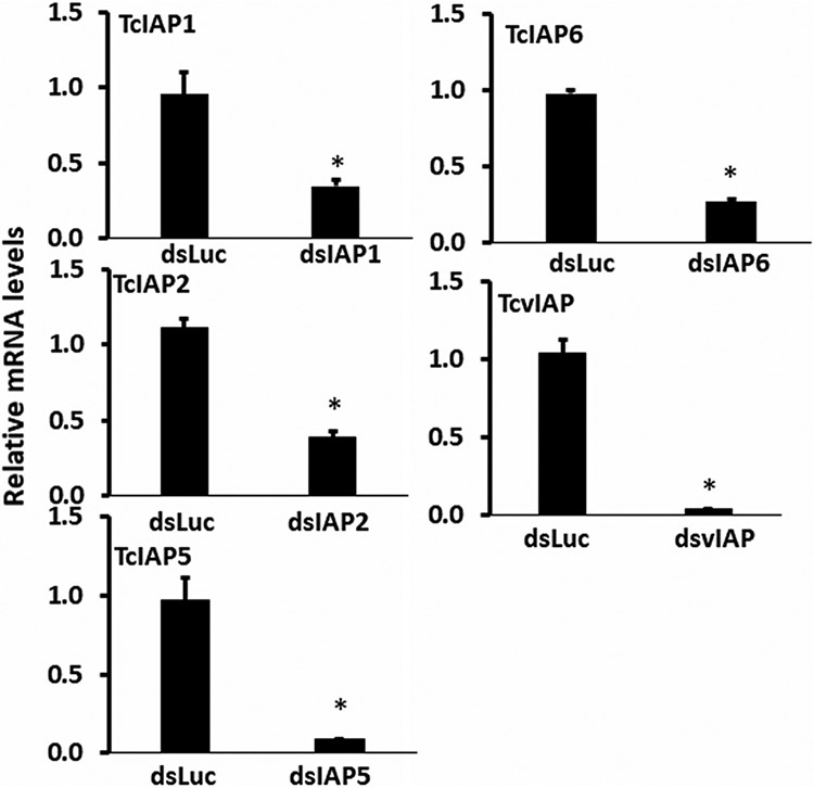 FIGURE 4