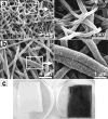 Fig. 9