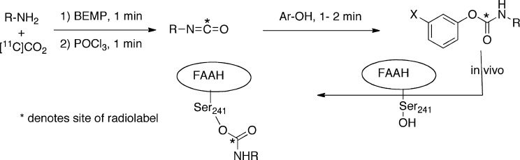 Scheme 3