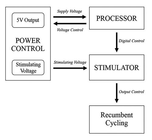 Fig 1.