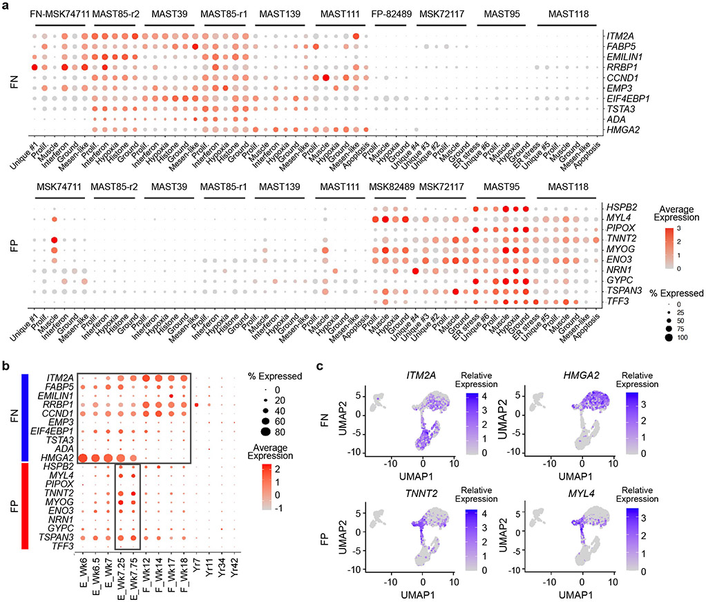 Extended Data Fig. 9.