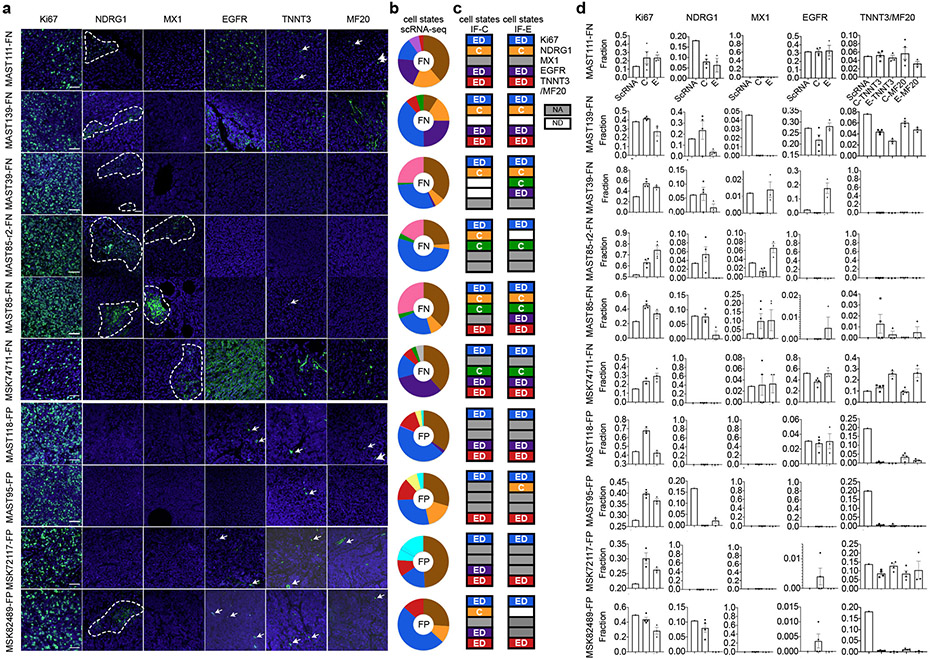 Extended Data Fig. 5.