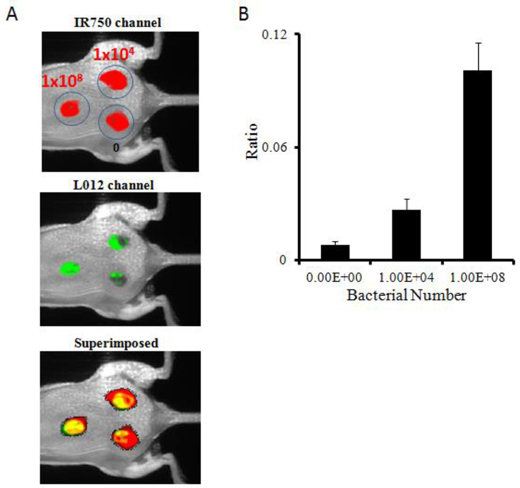 Figure 6