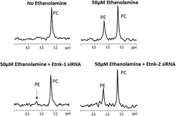 graphic file with name nihms-978117-f0007.jpg