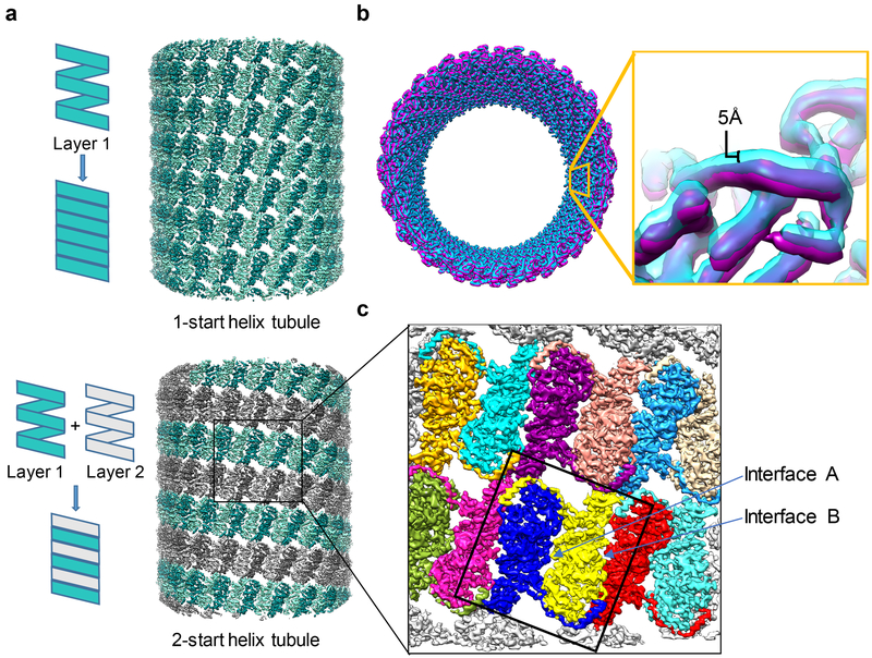 Figure 1: