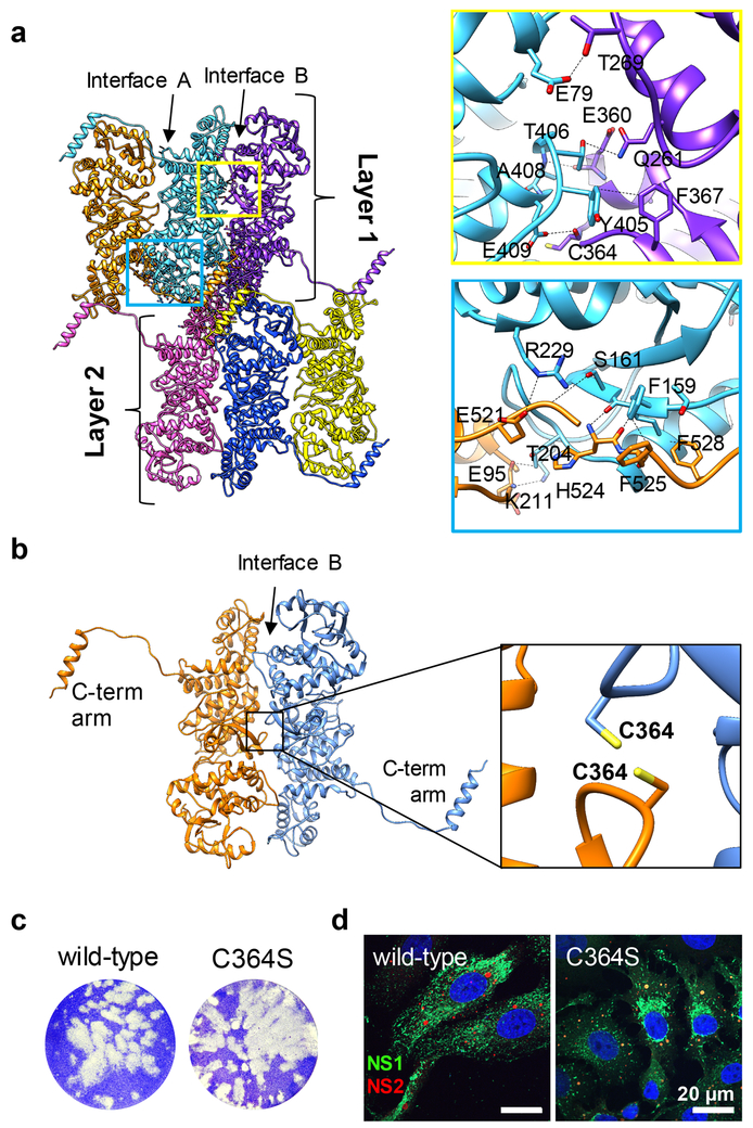 Figure 5: