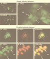 FIG. 1