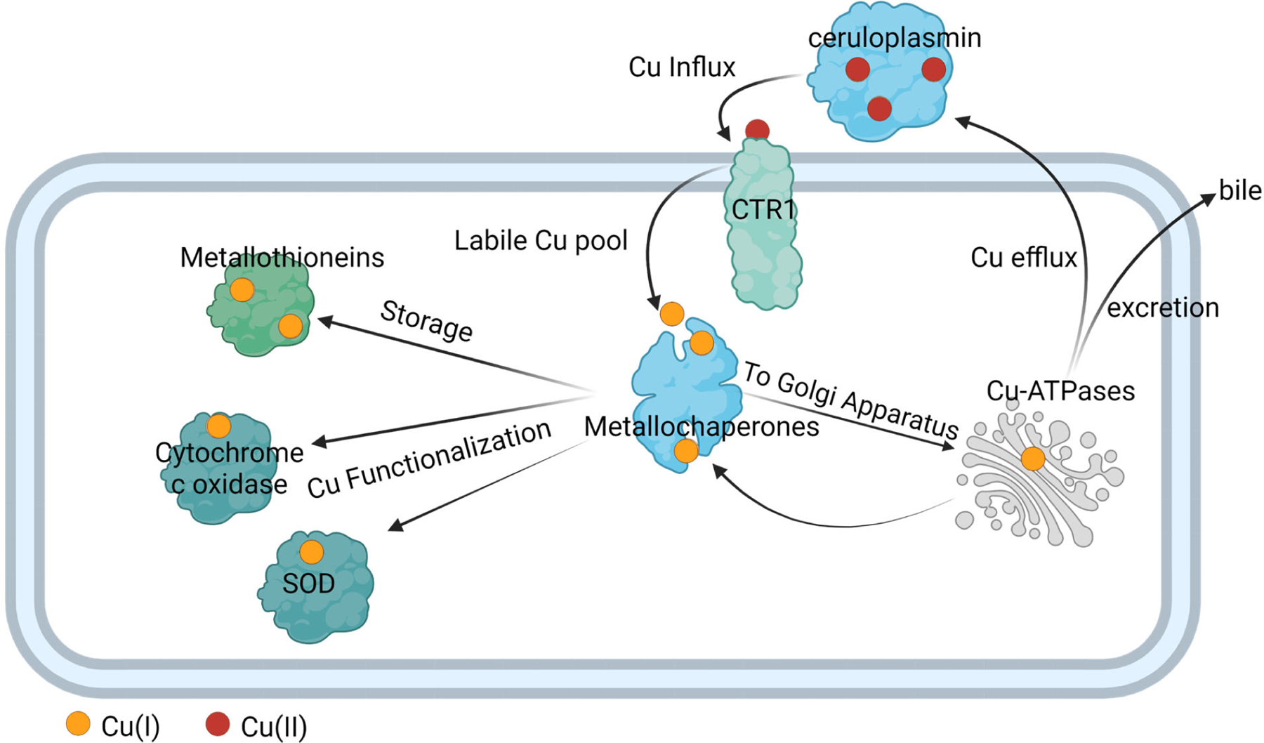 Figure 2.