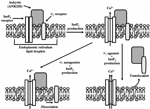 Fig (2)