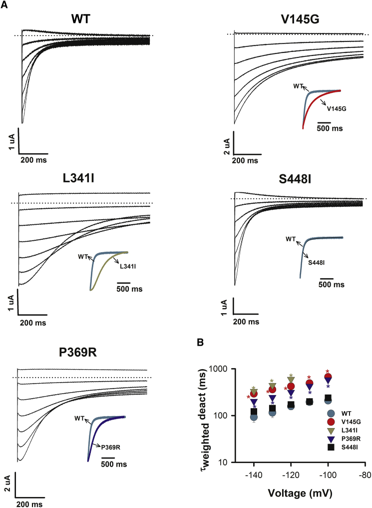 Figure 3