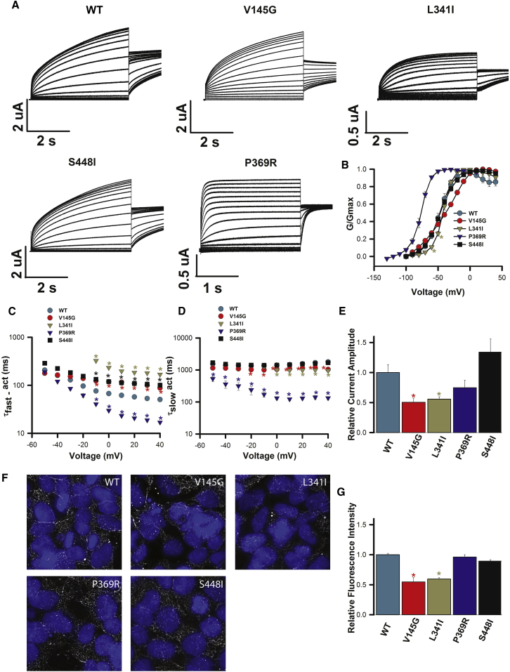 Figure 2