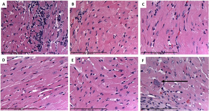 FIG 2