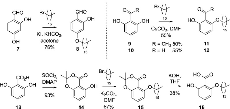 Scheme 2