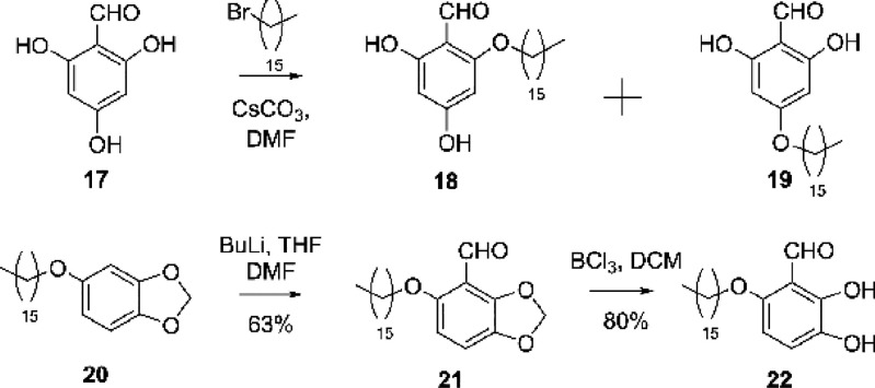 Scheme 3