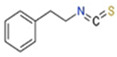 graphic file with name nutrients-16-00757-i002.jpg