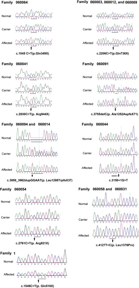 Figure 3