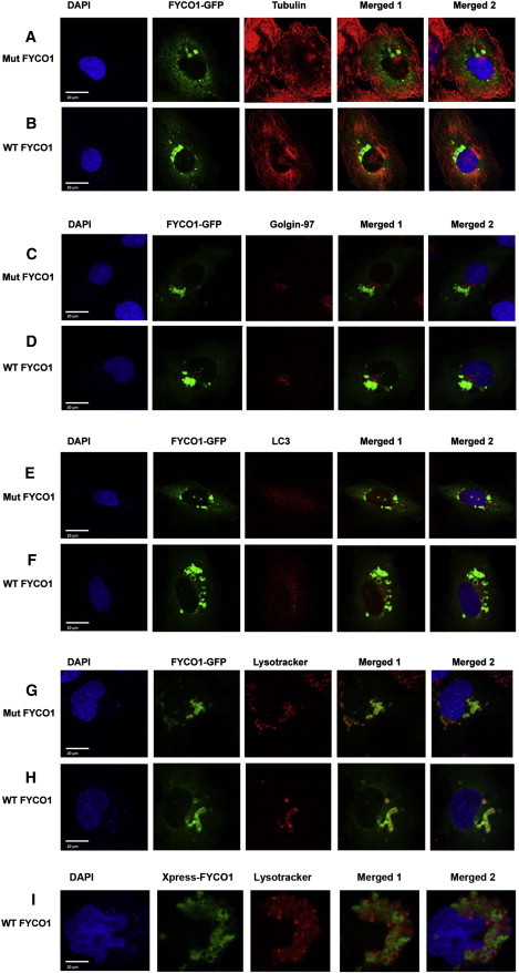 Figure 6