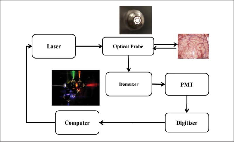 Figure 10