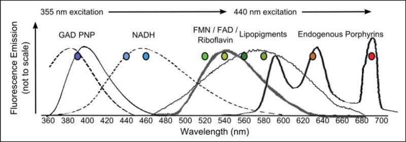 Figure 8