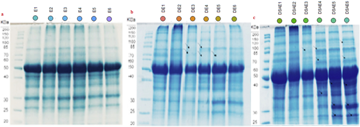 Figure 6