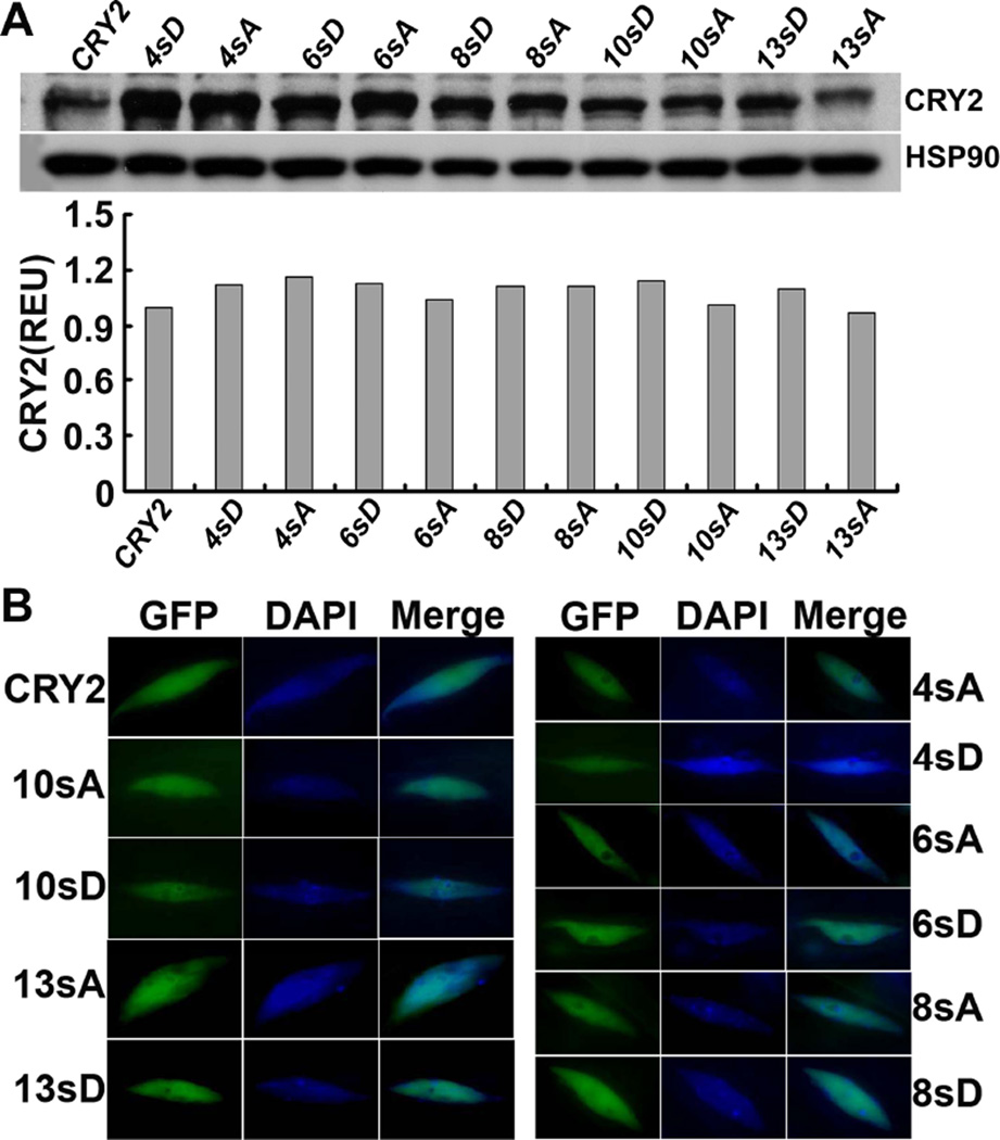 Fig.2