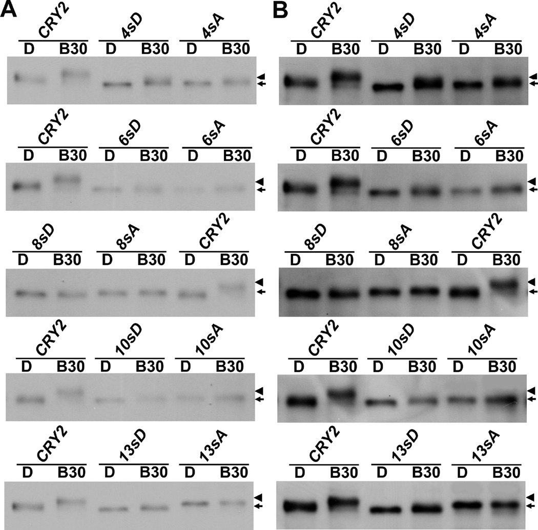 Fig.3