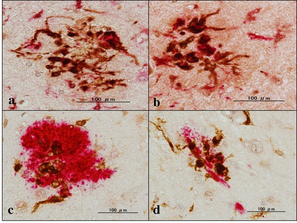 Figure 5.