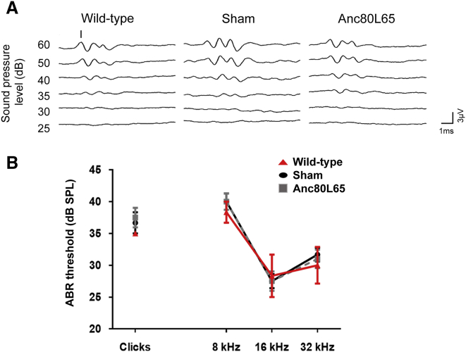 Figure 3