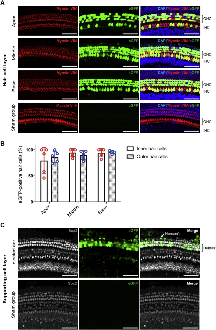 Figure 2