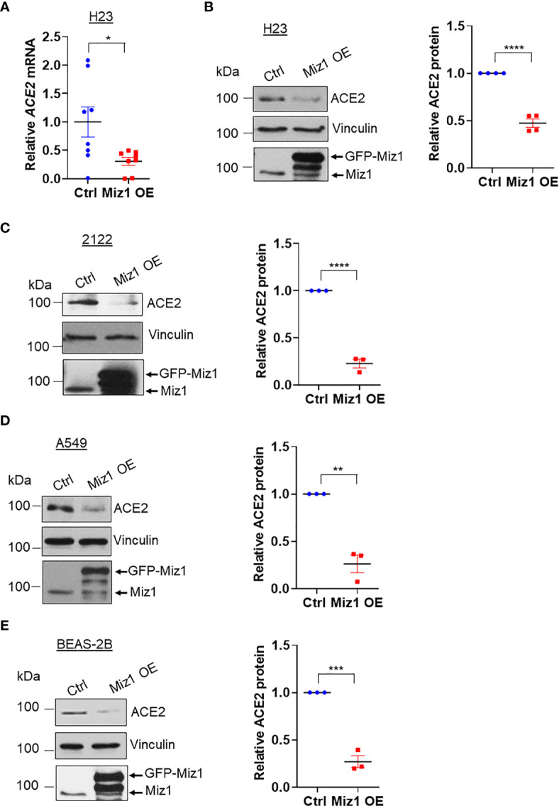 Figure 6