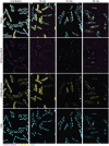 Extended Data Fig. 18|
