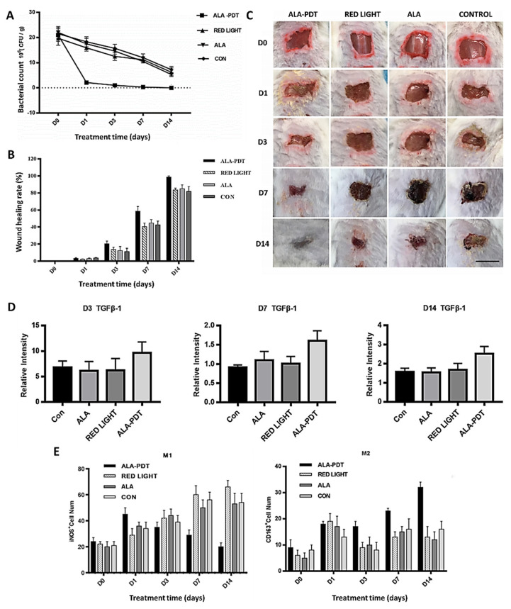 Figure 13