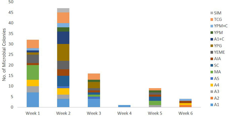 FIGURE 3