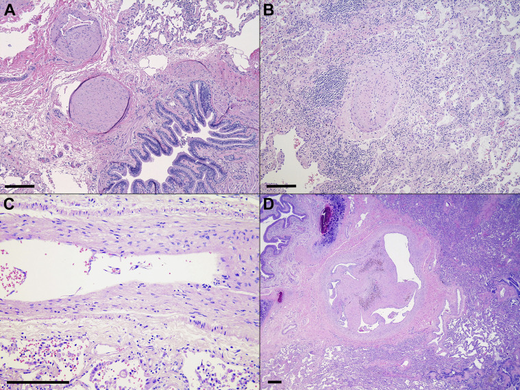 Figure 5