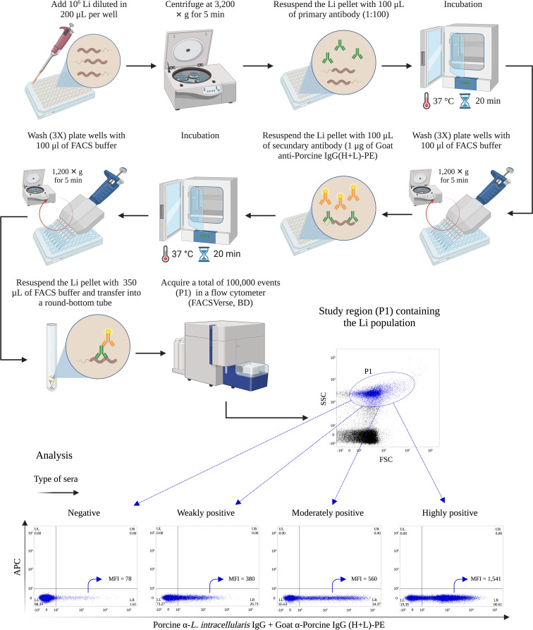 Figure 1