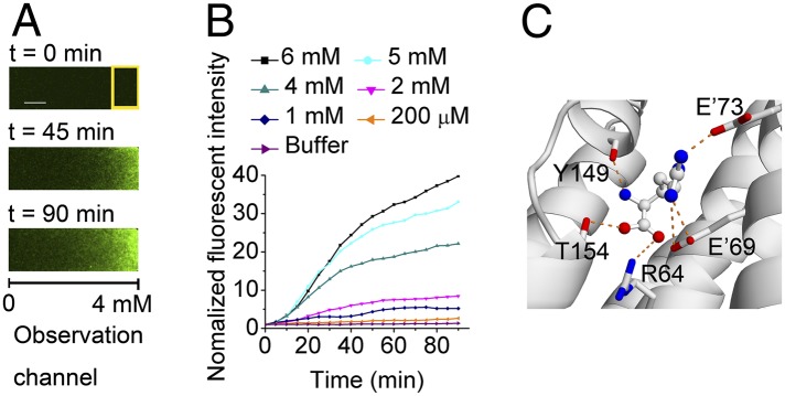 Fig. 6.