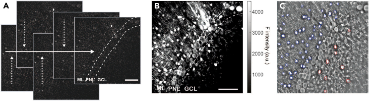 Figure 4