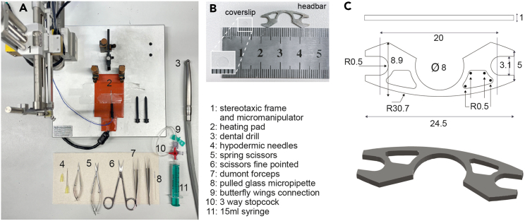 Figure 1