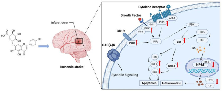 FIGURE 12