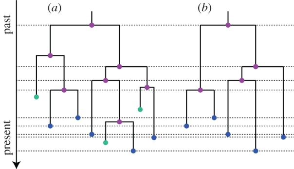 Figure 1.