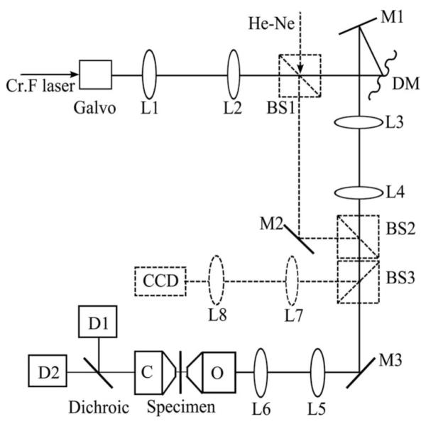 Fig. 1