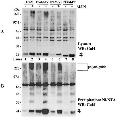 FIG. 6.