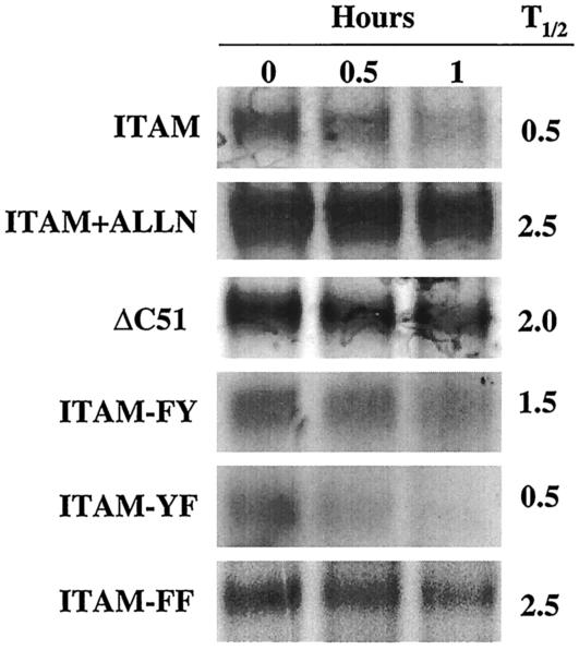 FIG. 7.