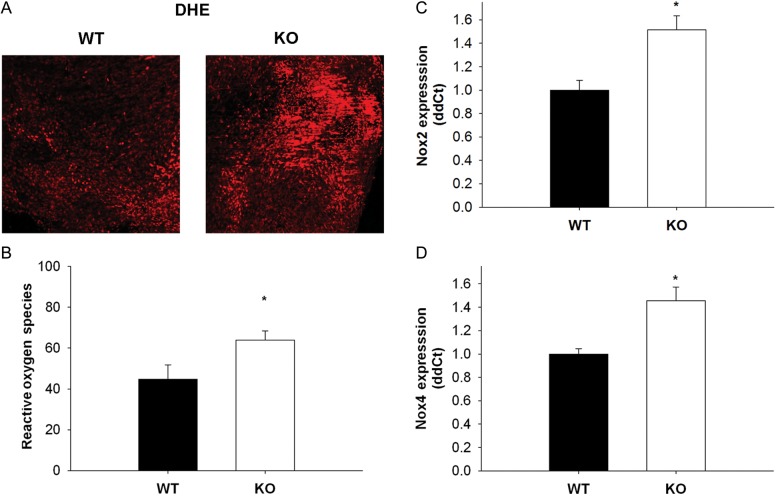 Figure 4